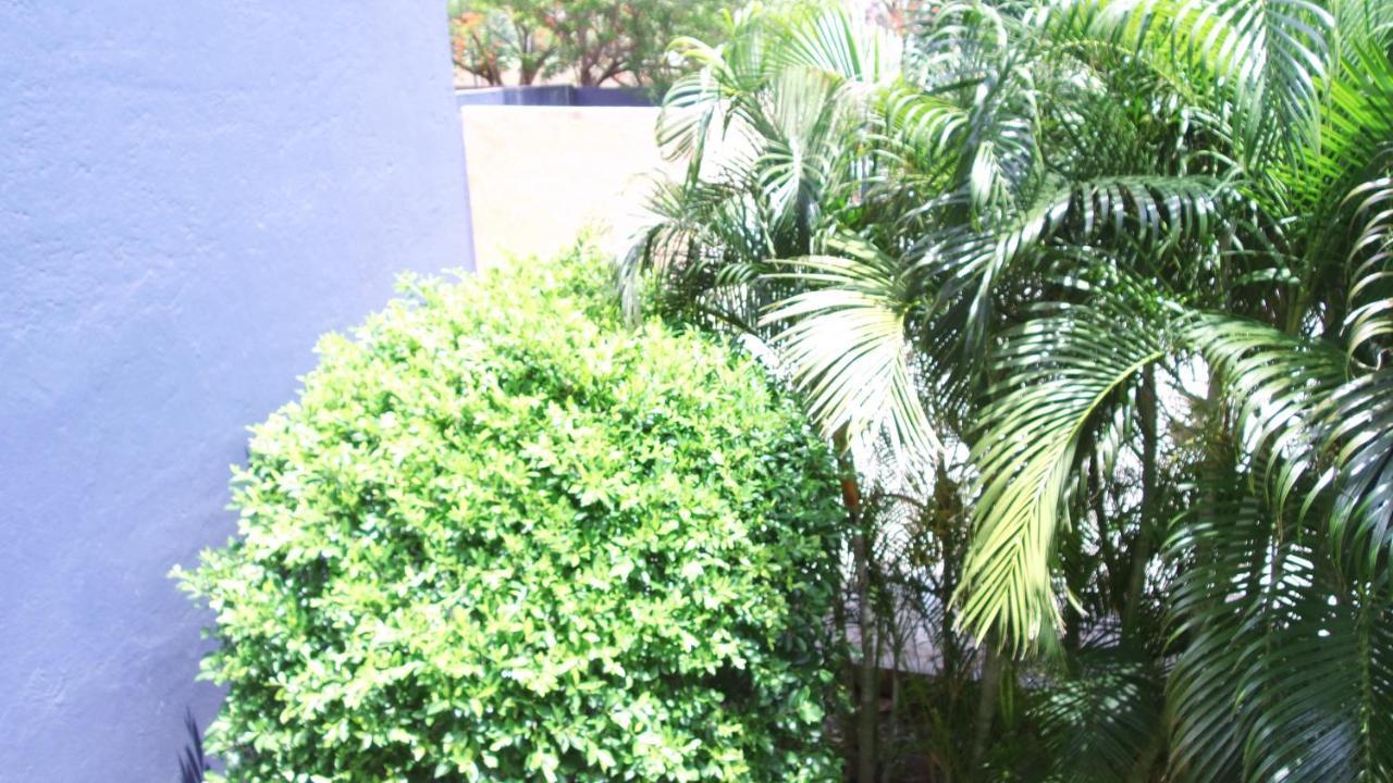 Hotel Calli Santo Domingo Tehuantepec Екстер'єр фото